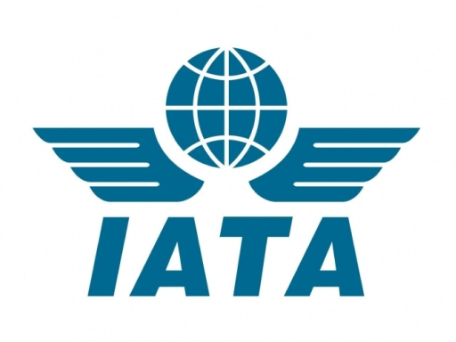 IATA Logo